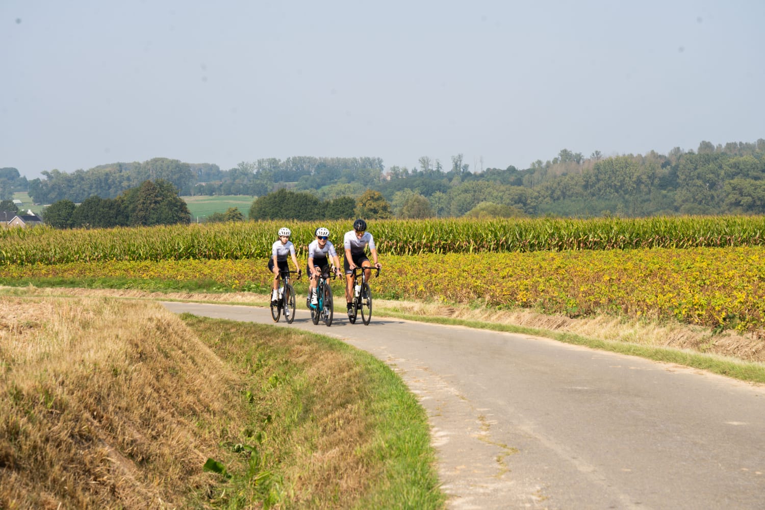 Jo Zwaenepoel